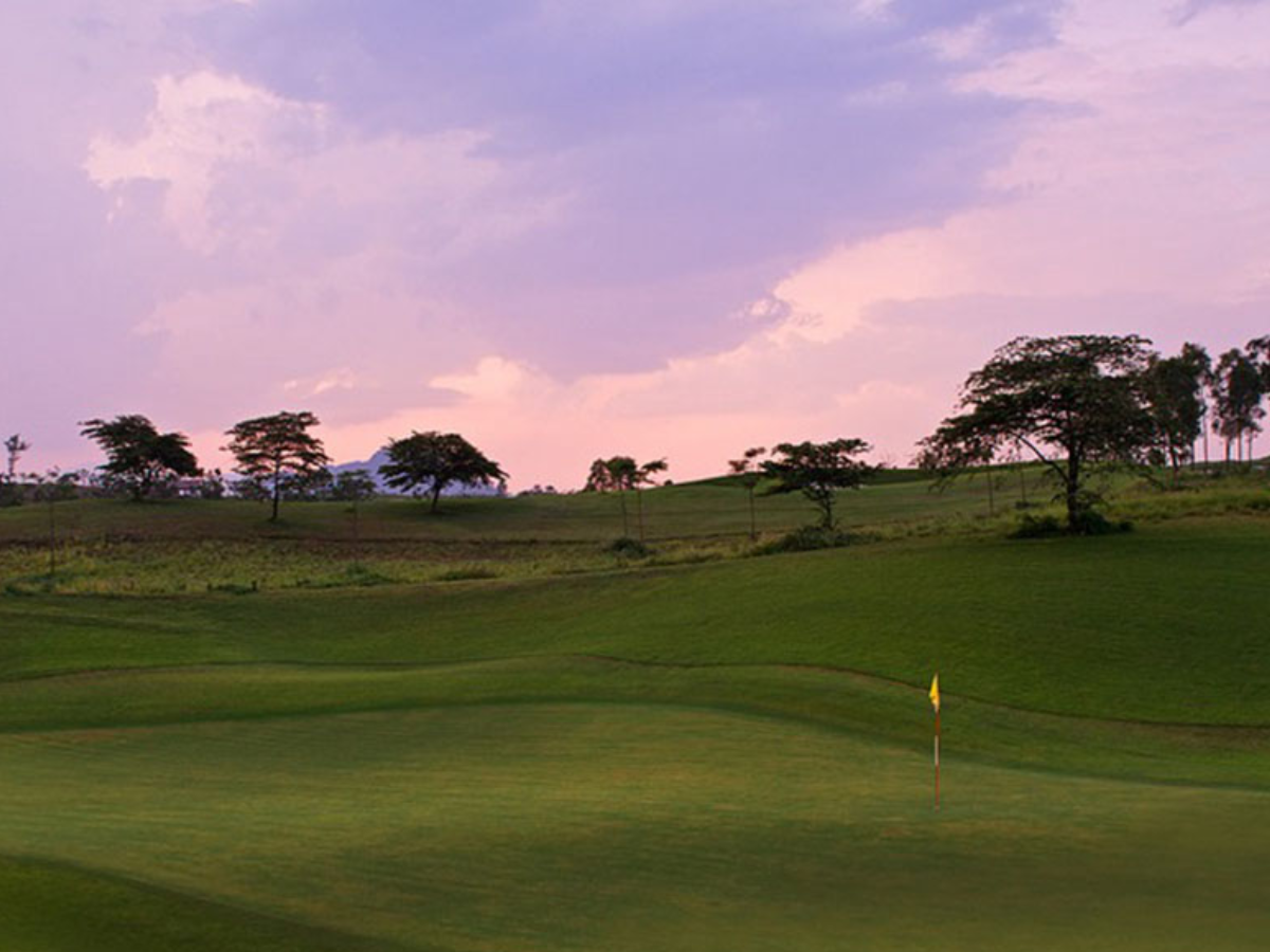 Kinh nghiệm chọn tour golf phù hợp với cấp độ người chơi