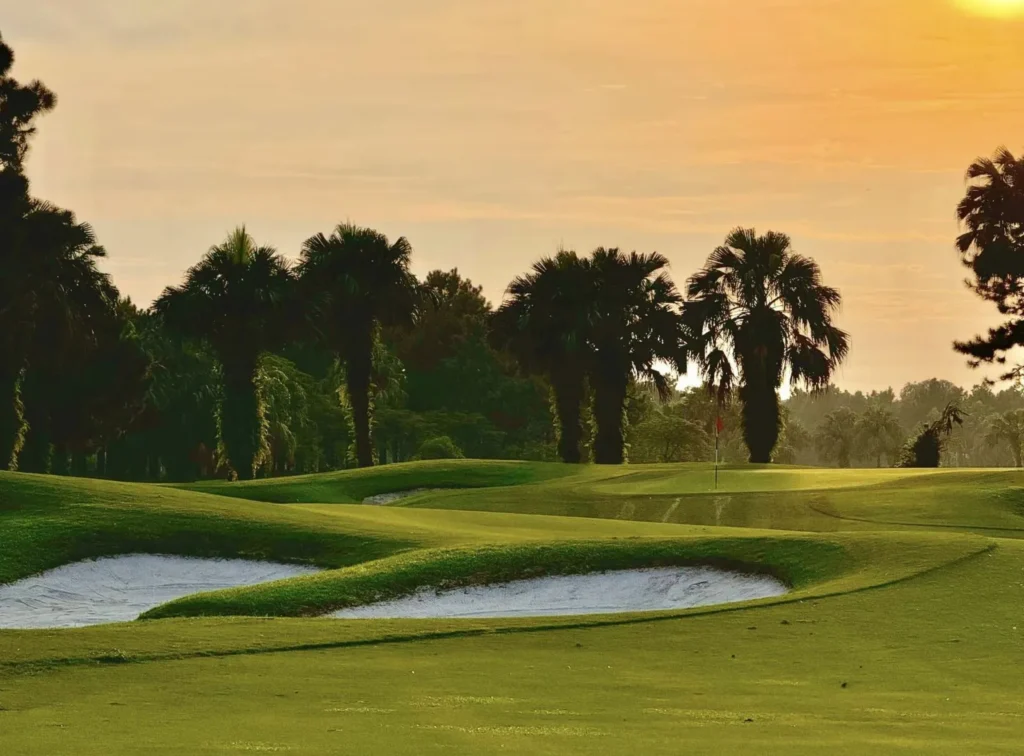 448483063_996200739176924_7480114966362656932_n_11zon