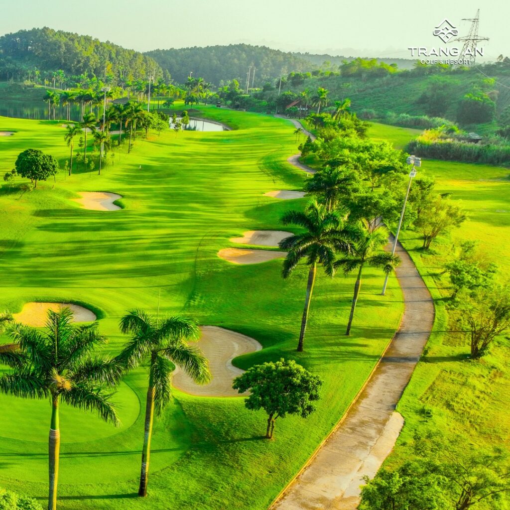 561363398_1730927458230084_6308958566133920985_n