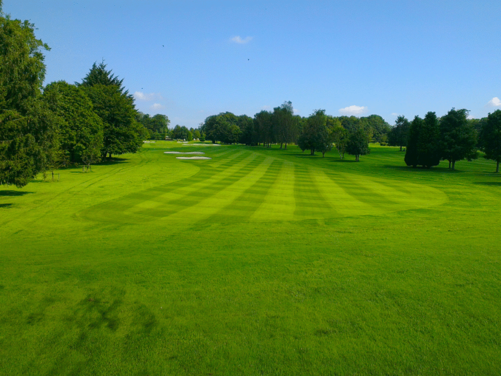 chọn đúng gậy phù hợp