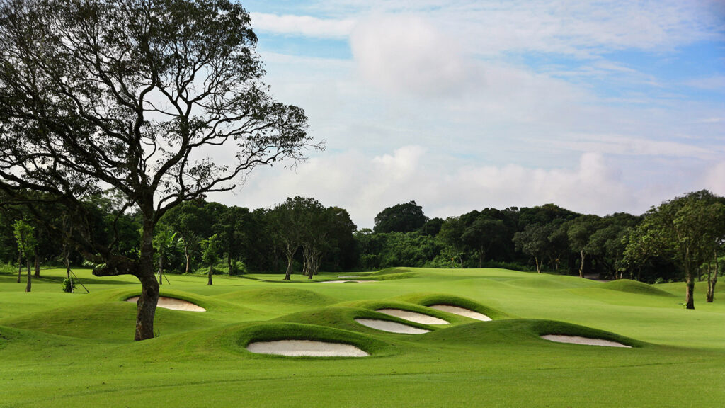 the_vintage_couse_img02-1