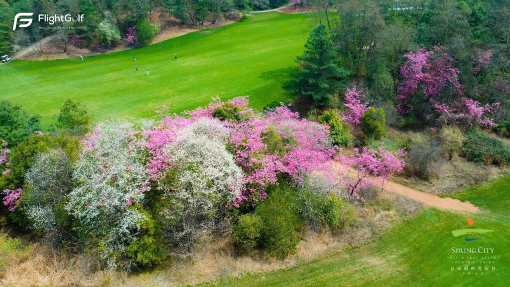 chơi golf tại Côn Minh
