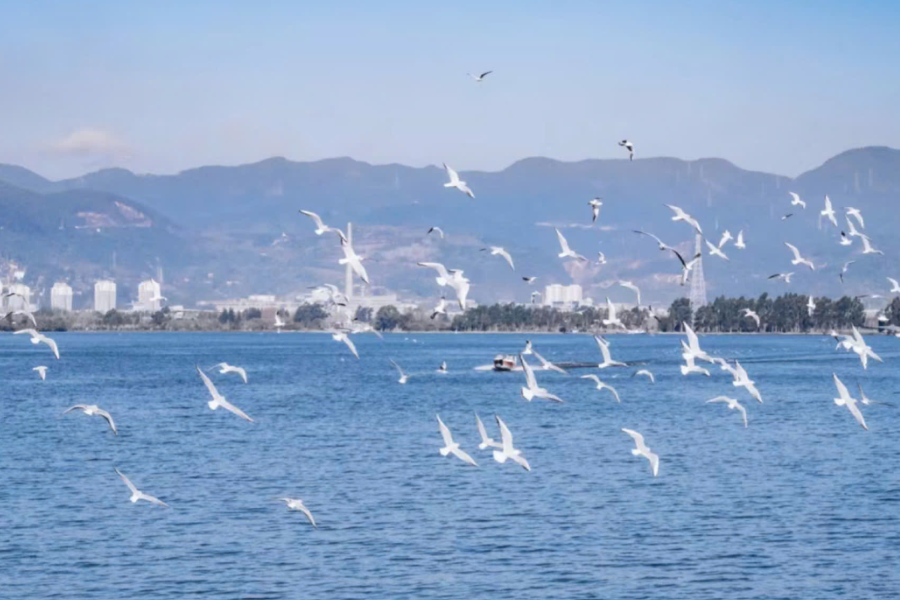 tour golf tại Côn Minh