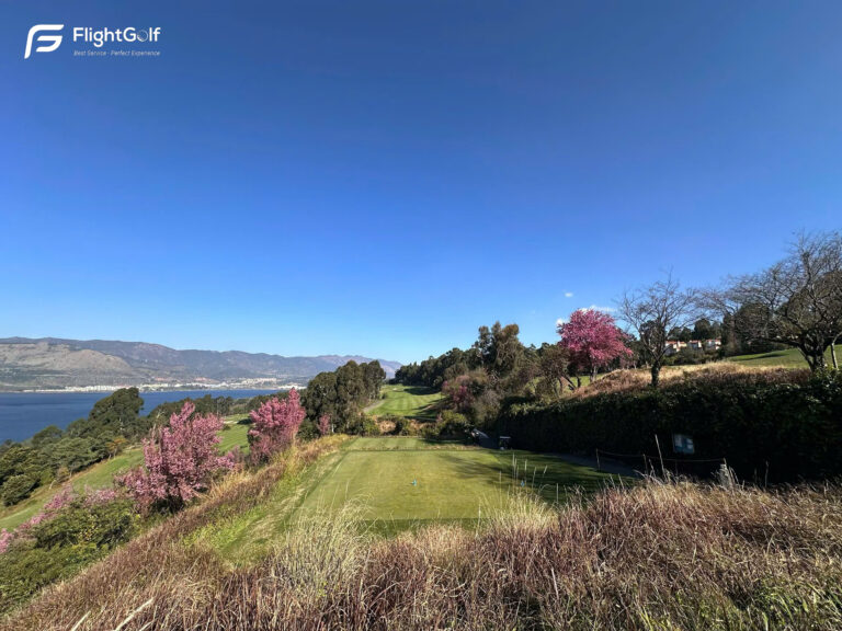 z7483757715146_fe11f3f84f6151f30e8a829c8feda2a8-2