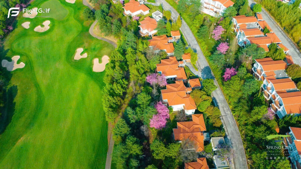 thi đấu tour golf quốc tế