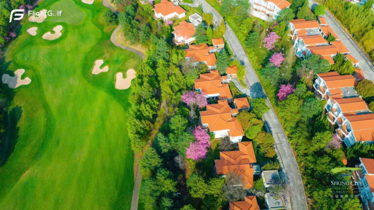 z7483759765145_271ac01b73a44e53b825ff23b1bf2d94-2