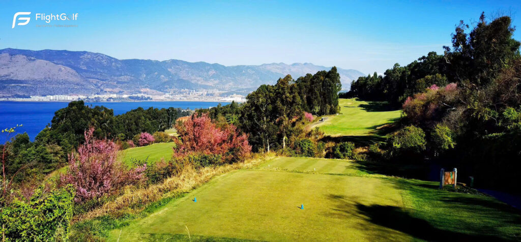 swing tại Côn Minh