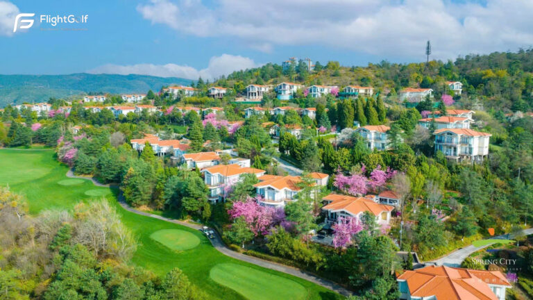 z7483763074318_c59fdbc7f8c6ad93512d68ee4d531b83-2