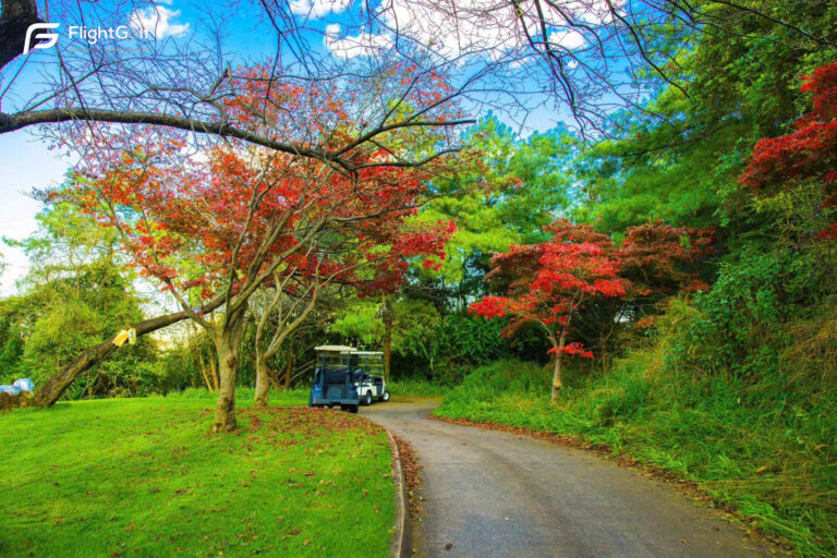 z7483763844186_2f628f56153944377af1cd170e2582bc-2