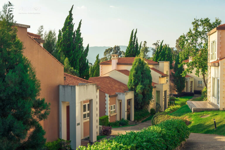 z7652871189811_1c2457311393c9b94ea718b22514f552